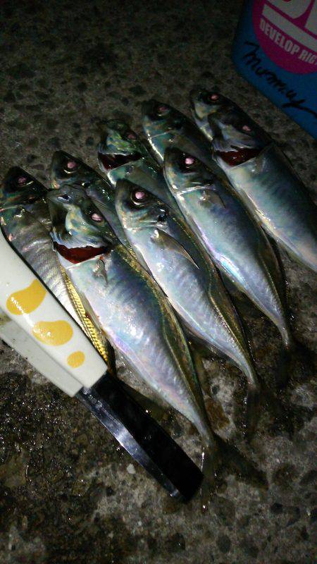 仲間と楽しいアジング