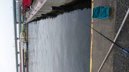 灘浜で短時間エギング