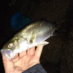 ジグパラマイクロslimで