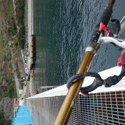 ハネになるんかな？