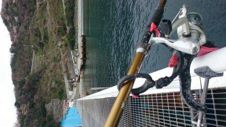 ハネになるんかな？