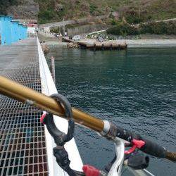 ハネになるんかな？