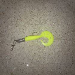 渋い１日でした