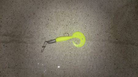 渋い１日でした