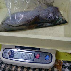 春らしいサイズゲット