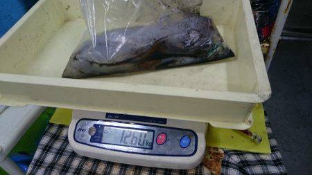 春らしいサイズゲット