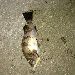 なんだかんだ。