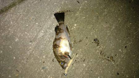 なんだかんだ。