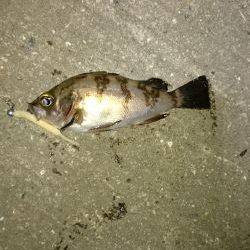 なんだかんだ。