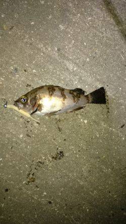 なんだかんだ。