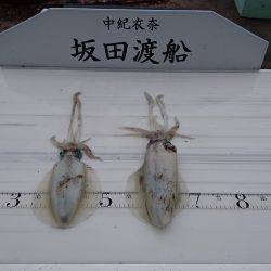 ショアジギング＆エギング