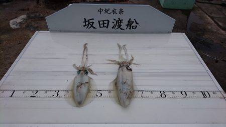 ショアジギング＆エギング