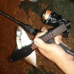 アジング釣行記 &アオリイカ