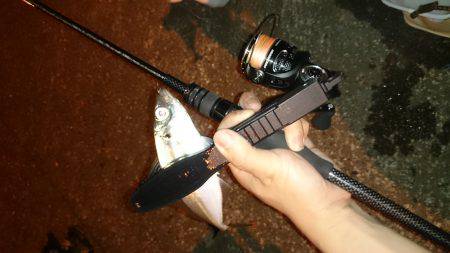 アジング釣行記 &アオリイカ