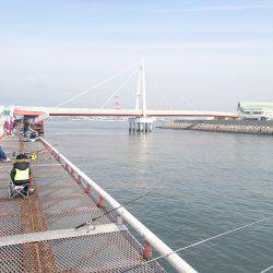 小春日和にエビ撒き