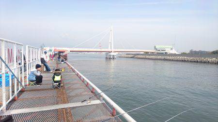 小春日和にエビ撒き