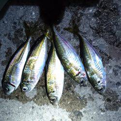 地震のアジング