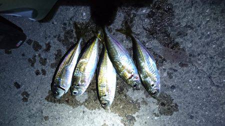 地震のアジング