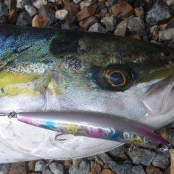 ミノーでゲット！！