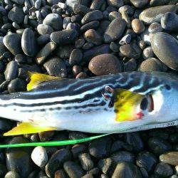 平日に遠征～～！