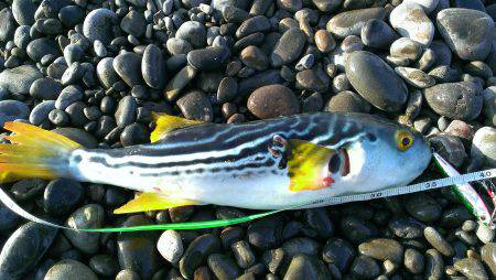 平日に遠征～～！