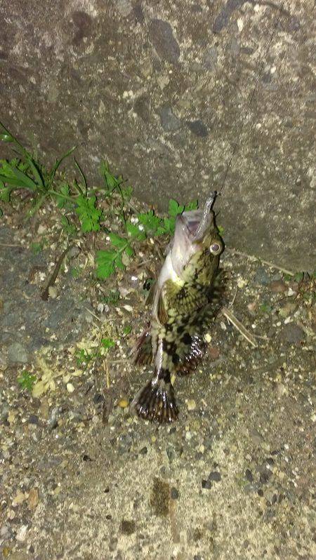 アジング／其の三