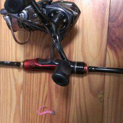 なんとか１匹ゲット