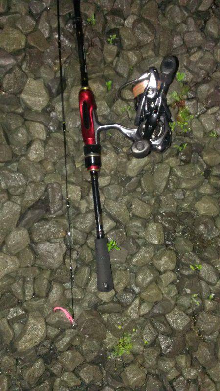 雨の中なんとかメバル１匹