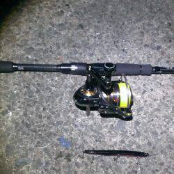 千載一遇のチャンスを確実に活かしました。