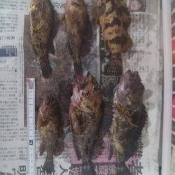 ロックフィッシュのお祭りパート2