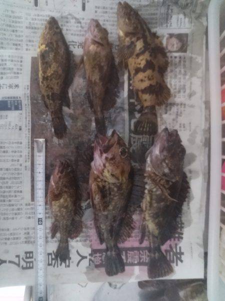 ロックフィッシュのお祭りパート2