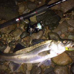 小ぶりですが・・・。