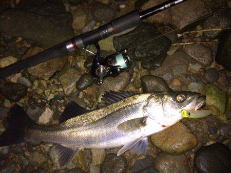 小ぶりですが・・・。