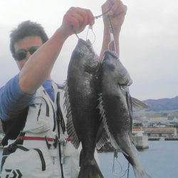 乗っこみの雰囲気!