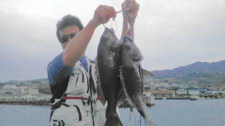 乗っこみの雰囲気!