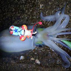 白浜～田辺ランガン