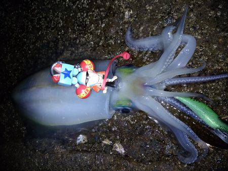 白浜～田辺ランガン