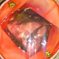 ゴールデンウィーク突入