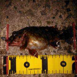 お腹がパンパンでした