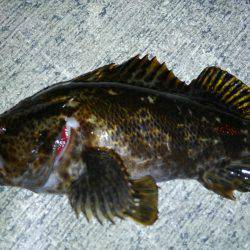 Newポイントにて…