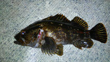 Newポイントにて…