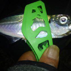 やっぱアジング楽しい～