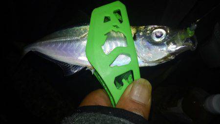 やっぱアジング楽しい～