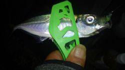 やっぱアジング楽しい～