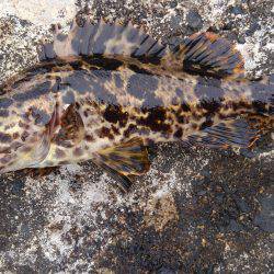 ミップル様周辺にて。