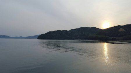 とりあえずコウイカ