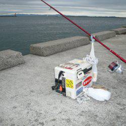 久しぶりのキス釣行