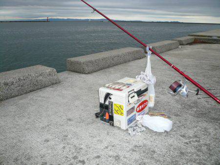 久しぶりのキス釣行