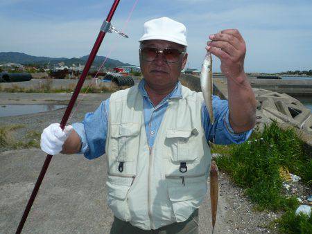 淡路志筑へキス釣行