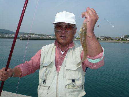 洲本でキス狙い